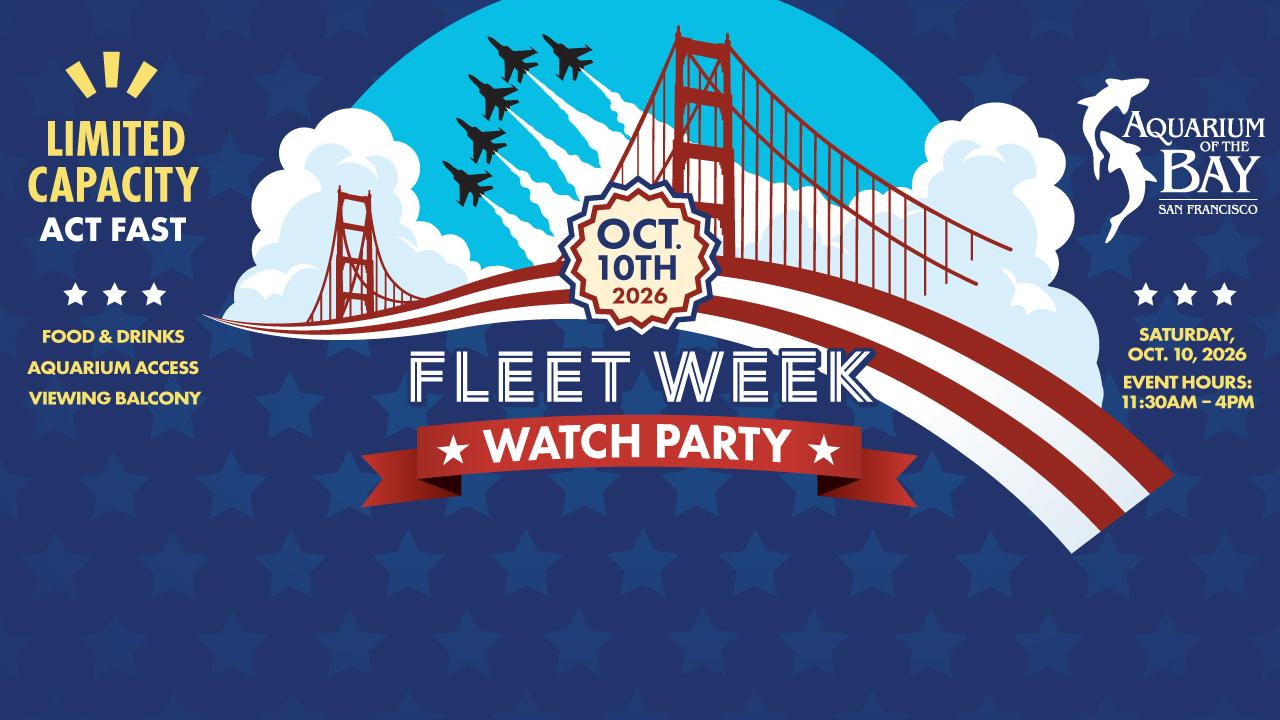 Fleet Week Watch Party - October 10, 2026