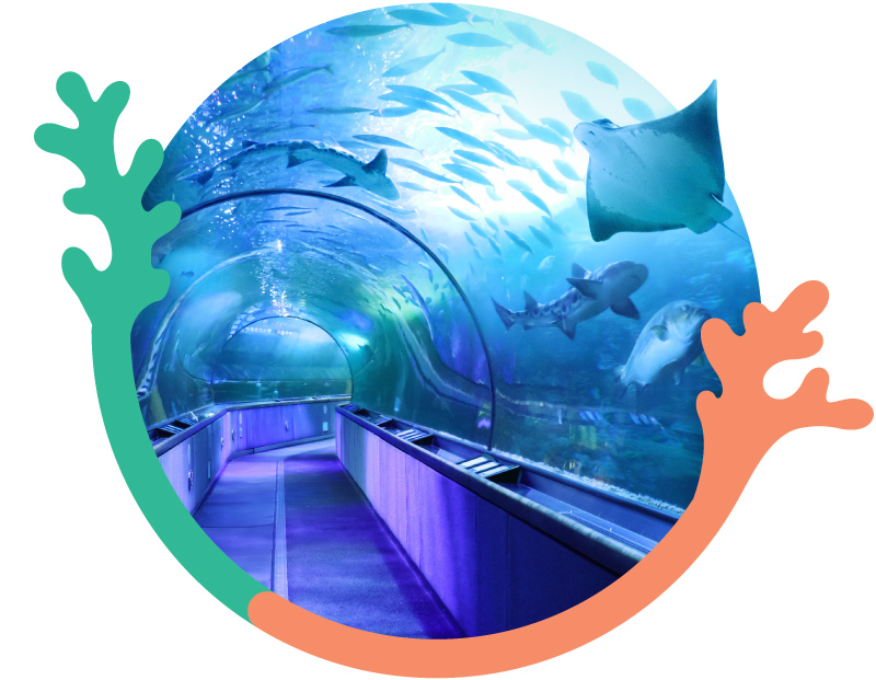 30years-img-tunnel-circle-800x621-v1