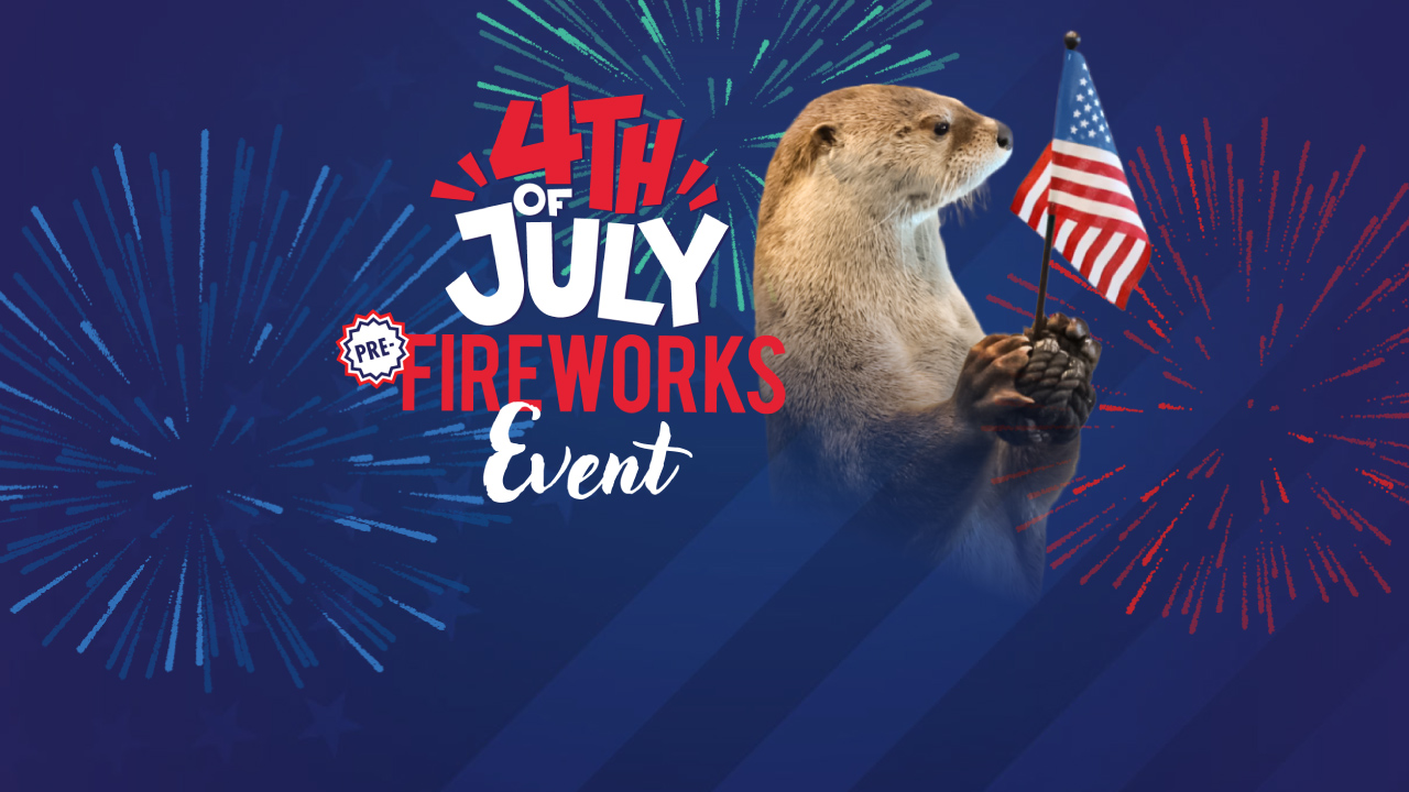 4th of July Pre-Fireworks Event