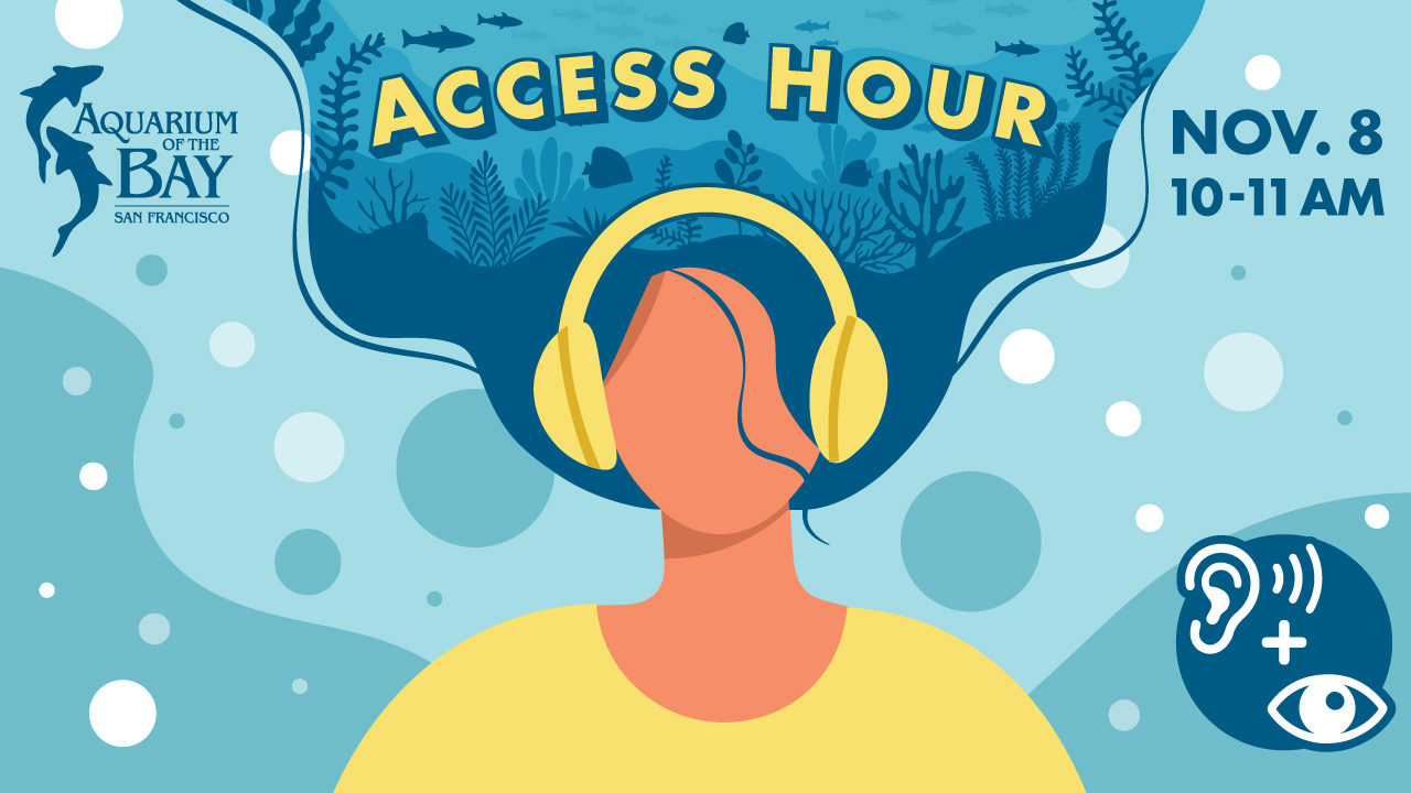 Nov. 8: ACCESS HOUR - Enjoy a Quieter Experience