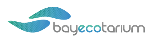 bay-ecotarium-our-future-logo-001