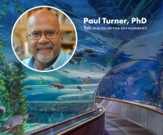 Advancing Ocean Innovation with Yale School of the Environment