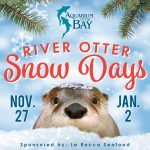 River Otter Snow Days - Nov 27 and Jan 2 - Aquarium of the Bay