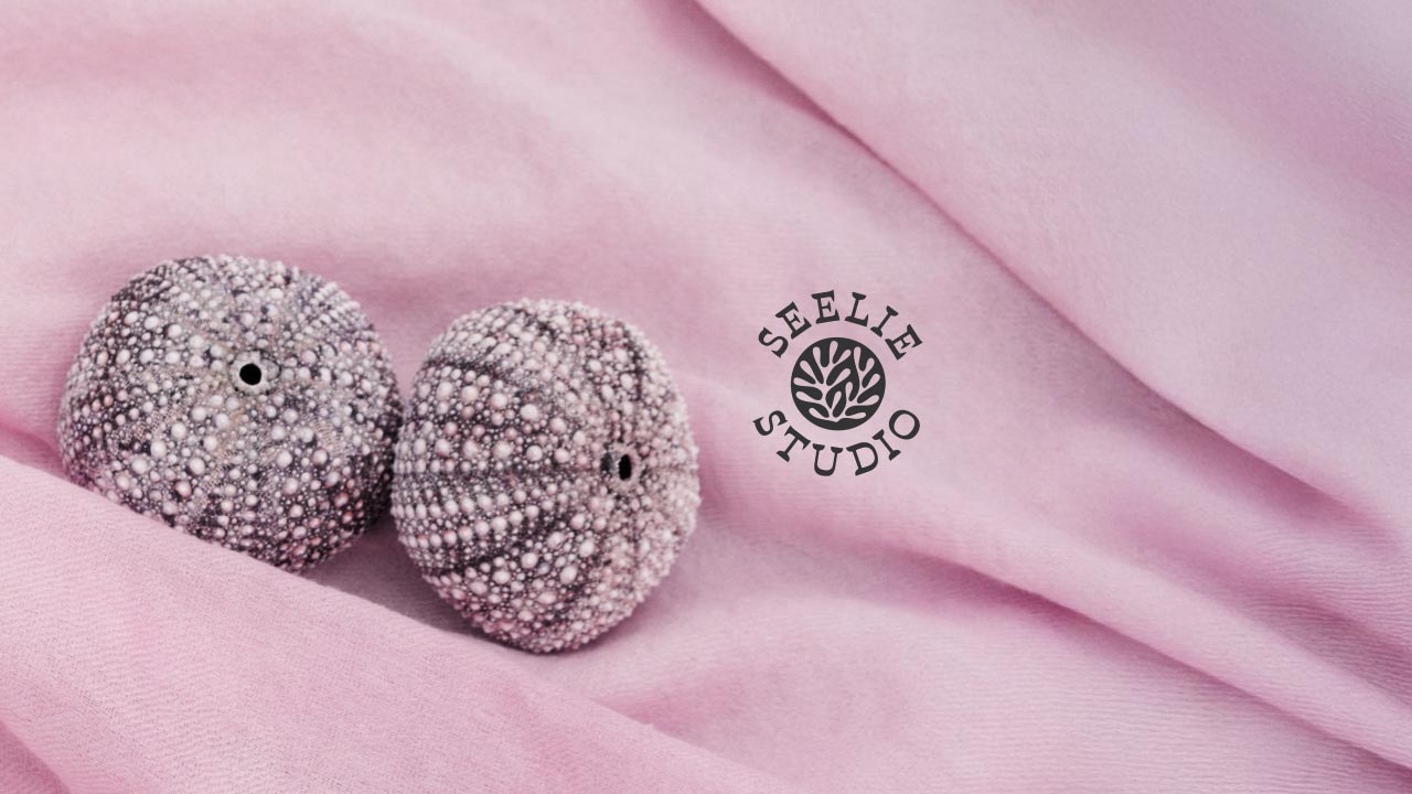 How to Dye Fabric with Sea Urchins