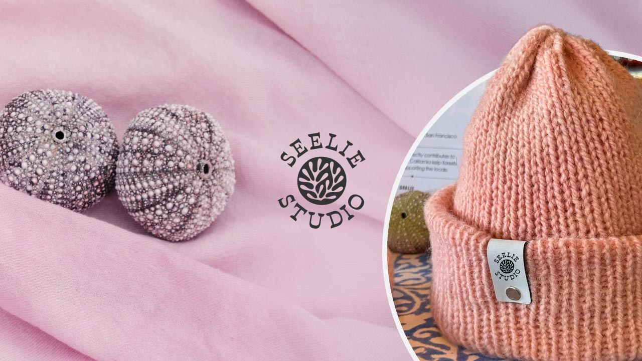 Jan. 10: How to Dye a Beanie with Sea Urchins