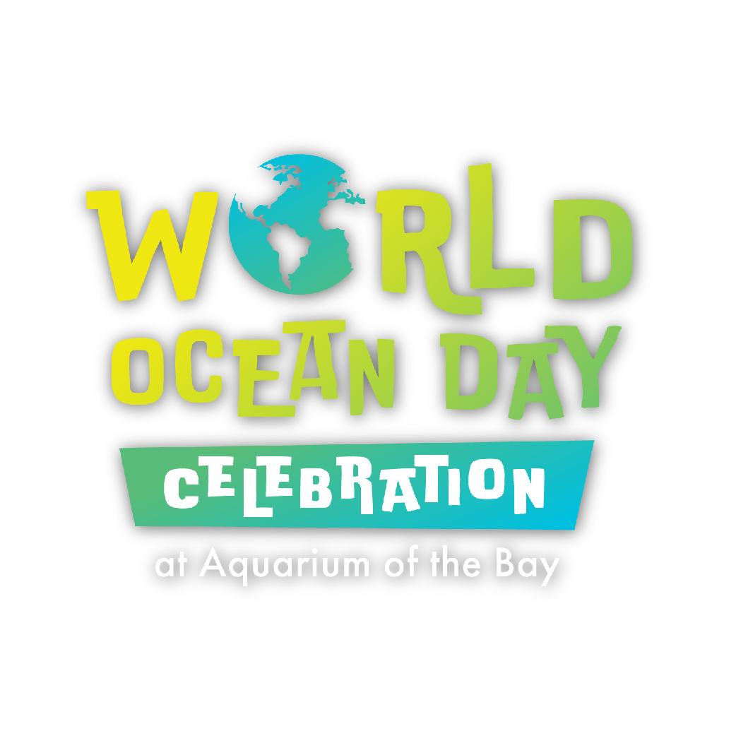 World Ocean Day Celebration