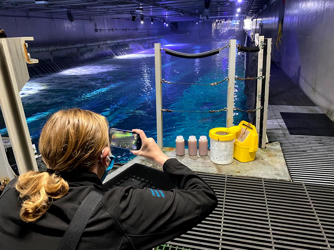 virtual aquarium tour free virtual aquarium tour free