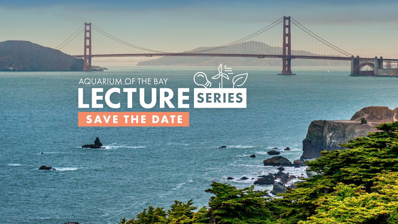 Lecture Series Returns - Starts June 11