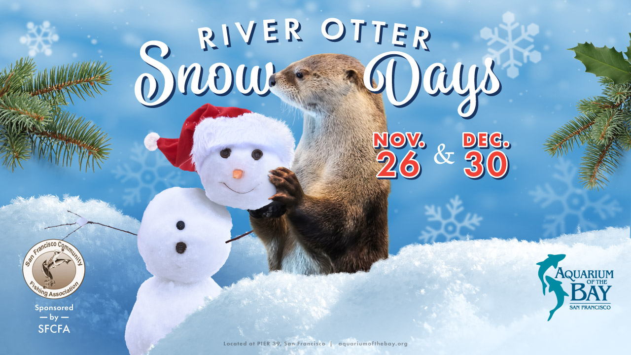 River Otter Snow Days