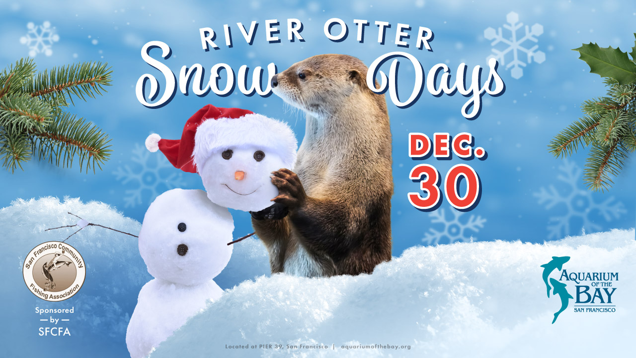 River Otter Snow Days