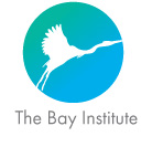 tbi-blog-logo