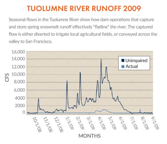 Tuolumne River Runoff - 2009