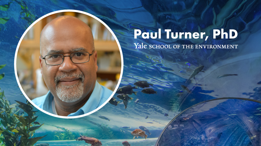 Paul Turner, PhD